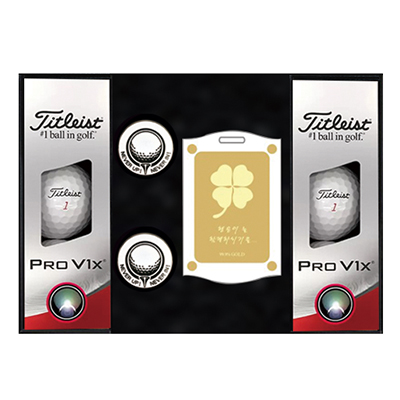 타이틀리스트 PROV1x 6구 볼마커 2조 순금 네임텍
