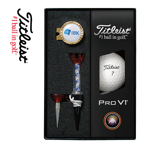타이틀리스트 Pro V1 골프볼 볼마커 (골드) 자석티 세트