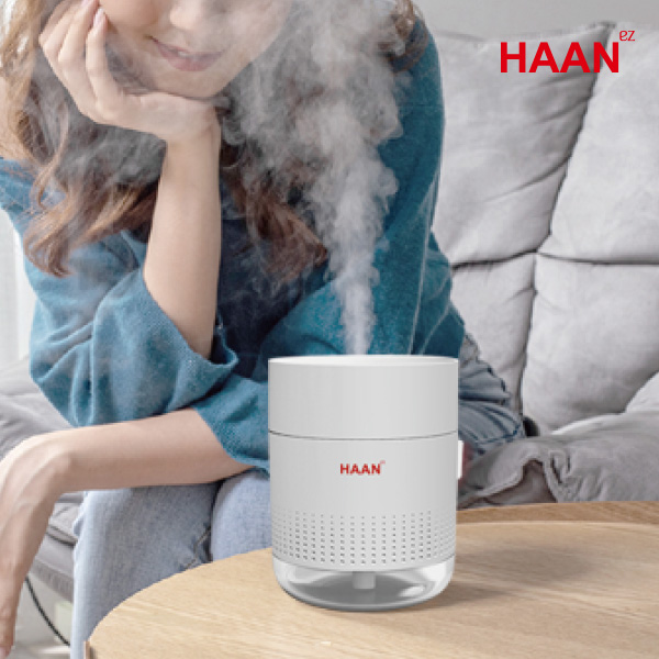 HAAN 한경희 무선 초음파 가습기 HTM-530C