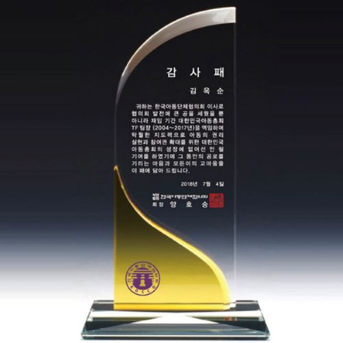 크리스탈 상패 DS12)3-5YL