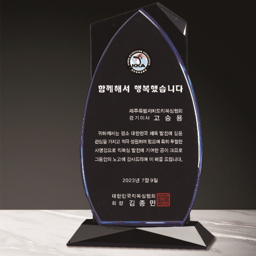 크리스탈 상패 298