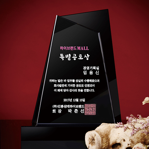감사패 특별 공로상 퇴직 근속 크리스탈 상패 송공패 기념패 art 312