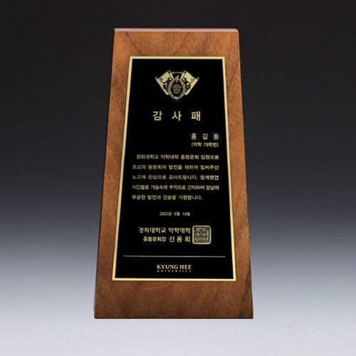 감사 송공 퇴직기념 임명패 SW-009-01