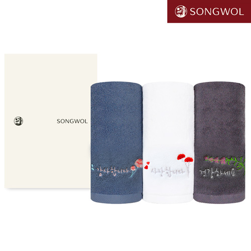 [송월타올] 가정의달 항균 타올 40x80cm