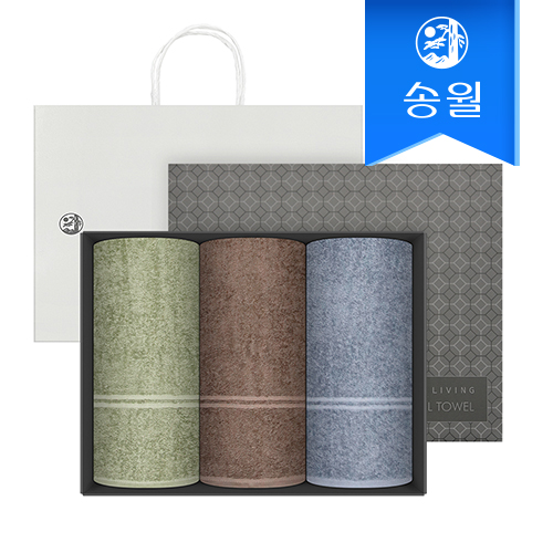 [송월타올] 호텔수건 데일리 데이라인 타올 110g 3p 선물세트(쇼핑백) 기념수건 답례품