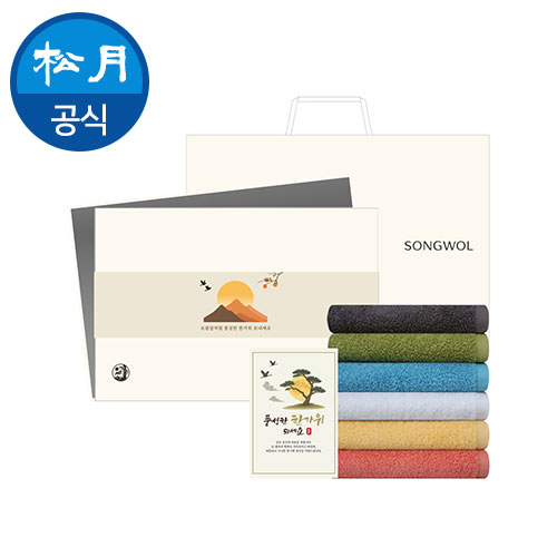 [송월타월] 추석 명절 한가위 40수 소울 네온170g 3매입 선물세트 H
